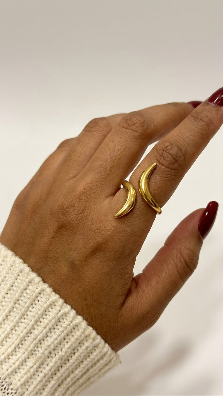 Halfmoon Duet 18K Gold Colour Plated