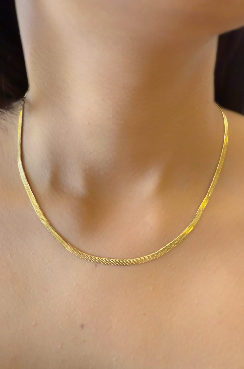 Snake Chain 18K Gold Plated Necklace
